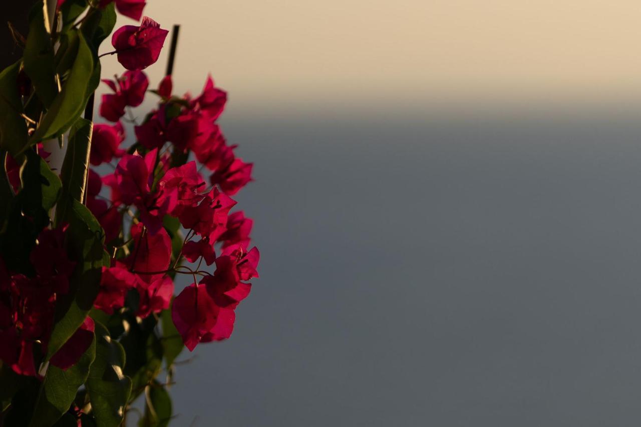 Villa Carpe Diem: Sea & Sunset View In Kea Island Ioulis Zewnętrze zdjęcie